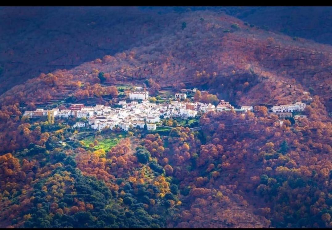 Casa Rural Los Jilgueros Pujerra 외부 사진