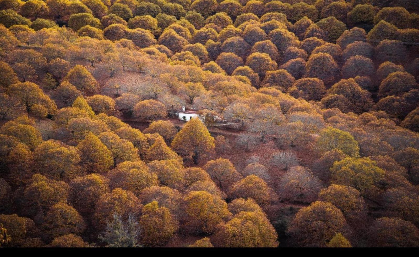 Casa Rural Los Jilgueros Pujerra 외부 사진